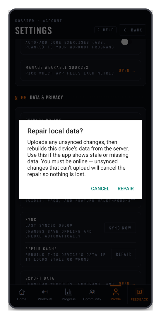 Repairing local data explains exactly what it will do before it does it